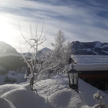Haus Erika Appartamento
