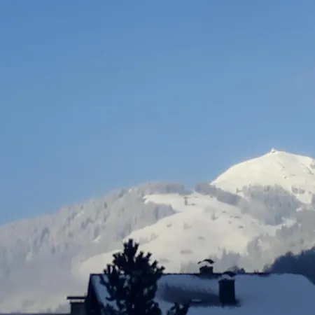 Haus Erika *